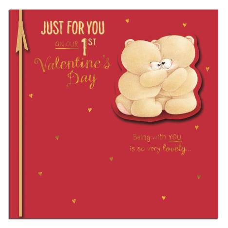 Our 1st Valentine's Day Forever Friends Valentines Day Card